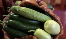 各种网红的瓜去哪吃,跟随网红脚步，探寻美食天堂